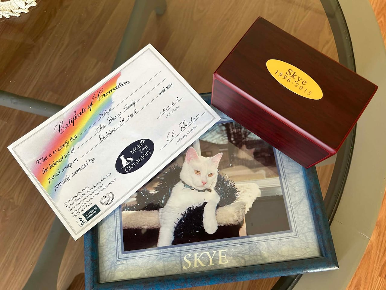 Cat urn and death certificate and framed photo