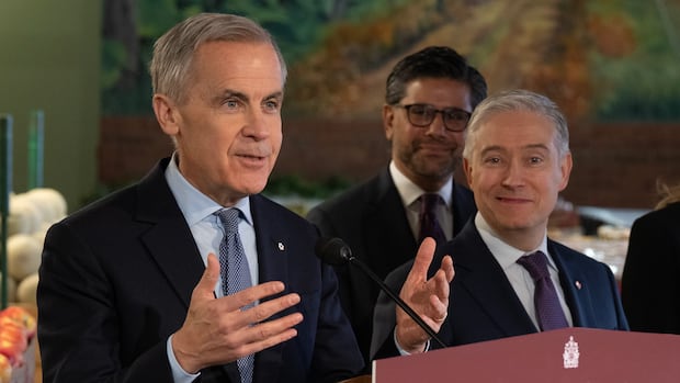 Carney announces food affordability measures, including boost to GST rebate