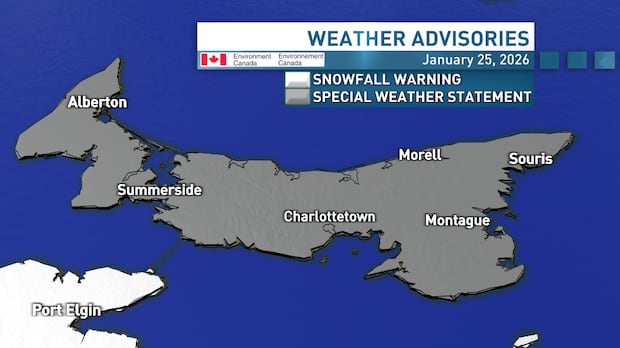 Snowstorm on the way for P.E.I., special weather statement issued