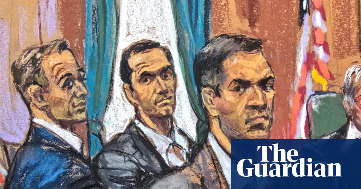 Brothers were predators masquerading as party boys, New York court hears | US crime