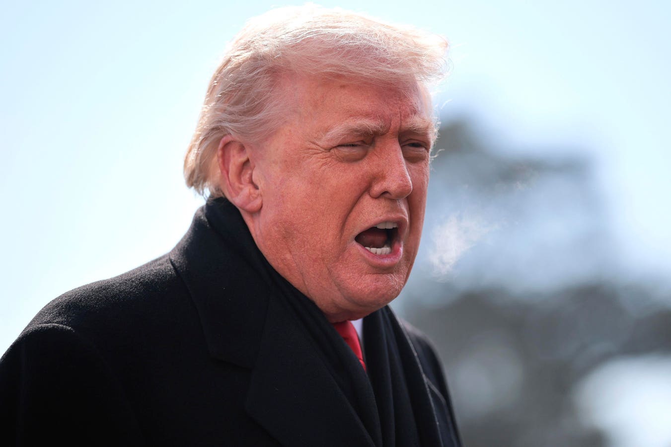 Trump Appears To Break With NRA Over Alex Pretti’s Legal Carry Of A Gun