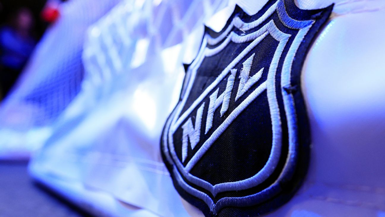 Department of Player Safety to handle NHL's discipline calls