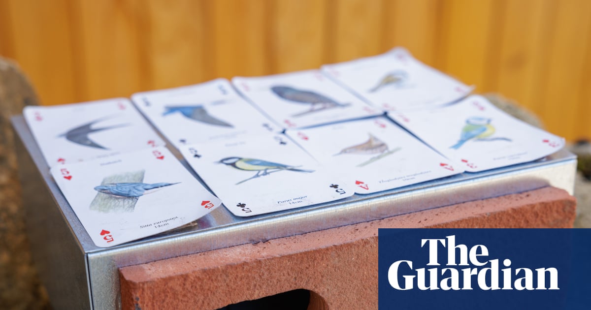 Swift bricks to be installed on all new buildings in Scotland as MSPs back law | Birds