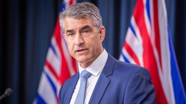 Former B.C. chief electoral officer poised to become Canada's first foreign influence watchdog