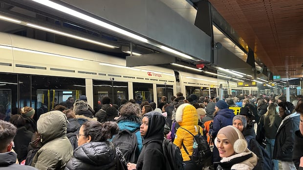 Councillors seek compensation for transit riders after latest disruption