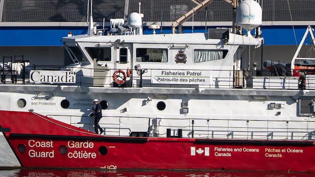 Should the Canadian Coast Guard be armed? The jury is still out, but the navy says no