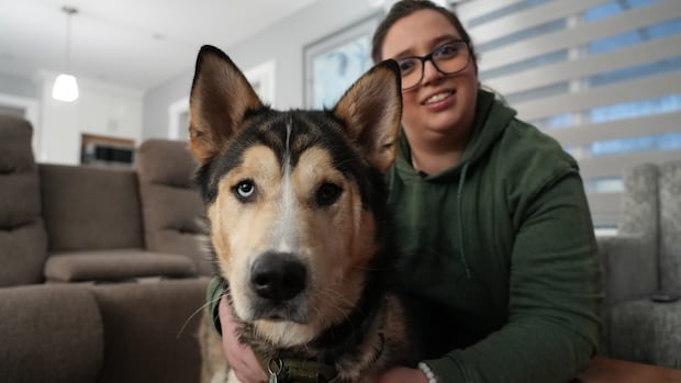 B.C. woman urges dog owners to watch their pets on walks after husky overdoses on cocaine