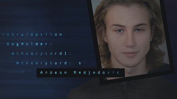 Fake passports, $65M US and an Interpol Red Notice: Canadian crypto fugitive vanishes after arrest in Serbia