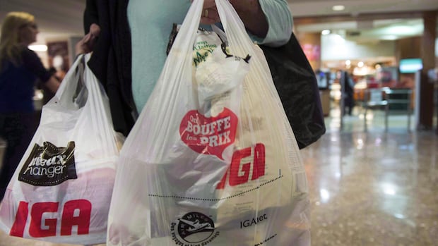 Appeal court rules in favour of Ottawa's toxic plastic listing