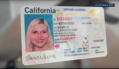 325,000 Californians will need to to replace REAL IDs due to DMV software error impacting legal immigrants