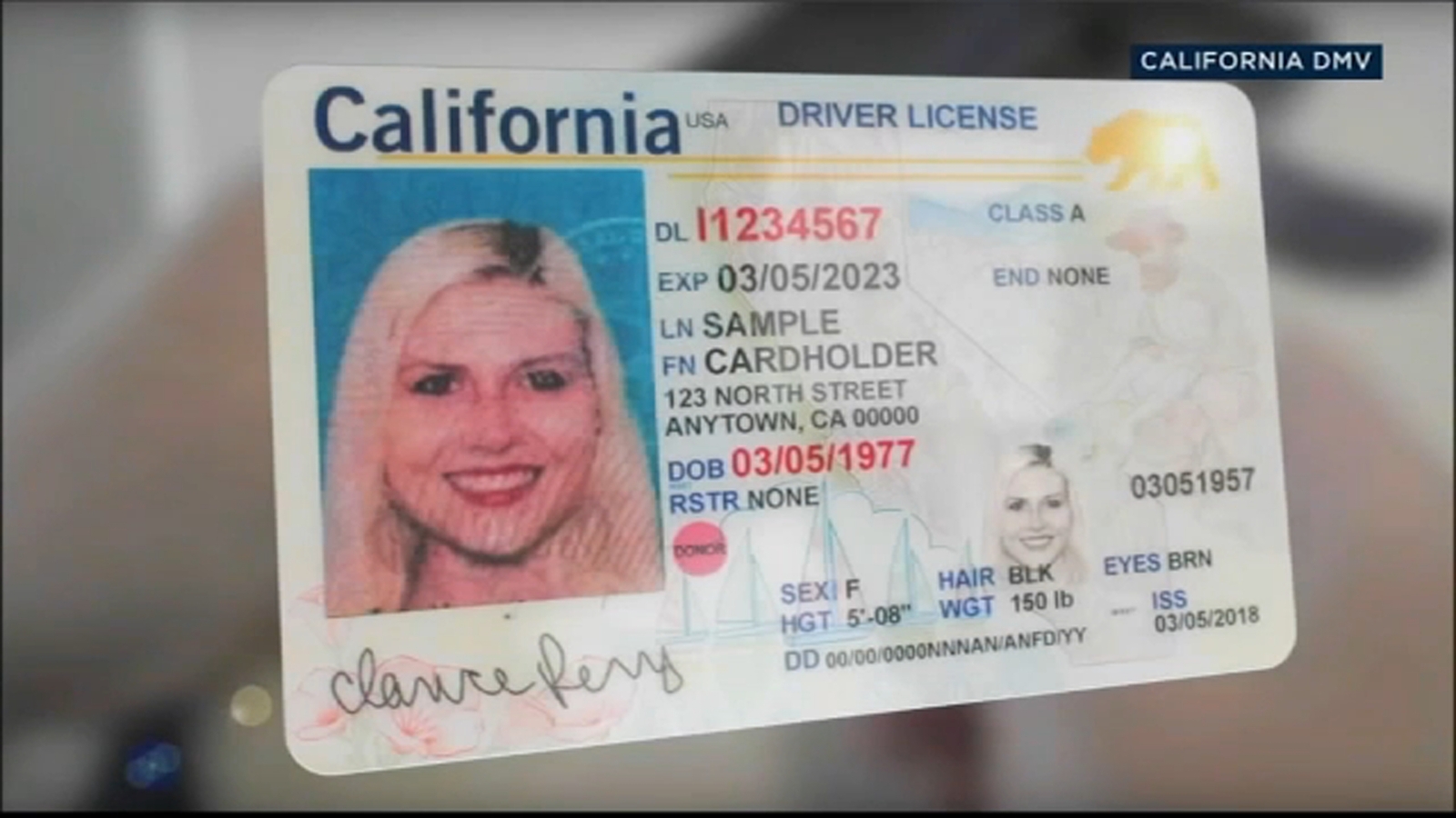 325,000 Californians will need to to replace REAL IDs due to DMV software error impacting legal immigrants