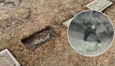 1,600 headstones, plaques stolen or damaged in repeat thefts at historic Woodlawn Celestial Gardens in Compton