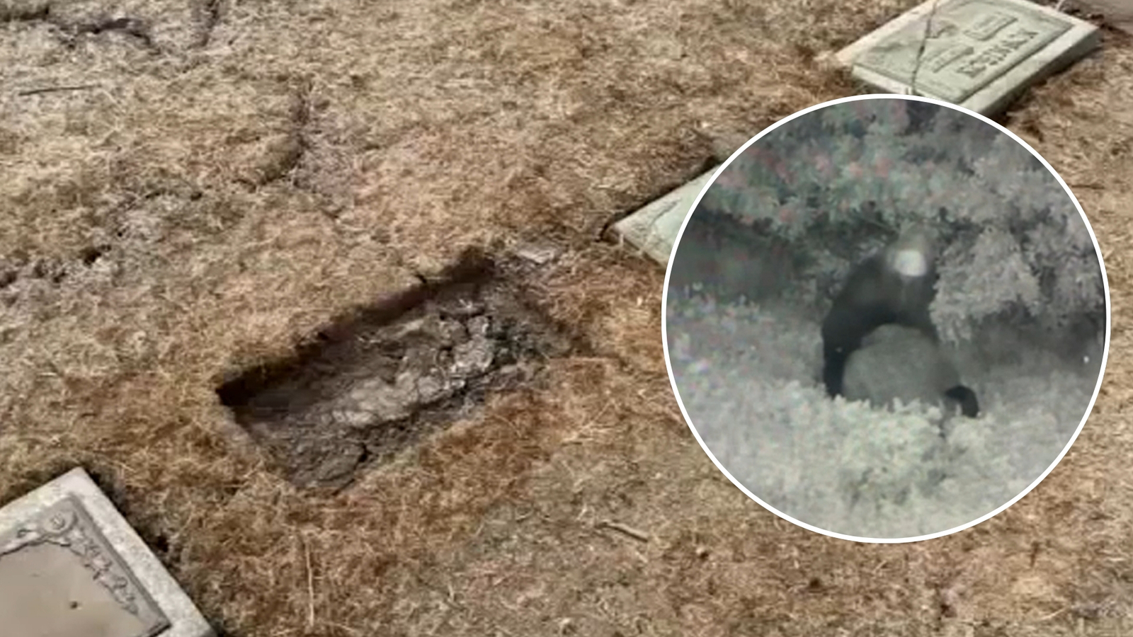 1,600 headstones, plaques stolen or damaged in repeat thefts at historic Woodlawn Celestial Gardens in Compton