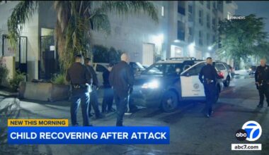 9-year-old girl attacked by man in Van Nuys, dog bites suspect