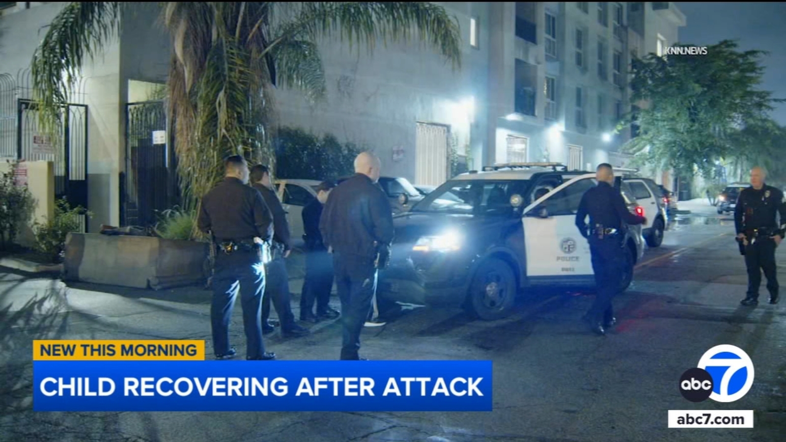 9-year-old girl attacked by man in Van Nuys, dog bites suspect