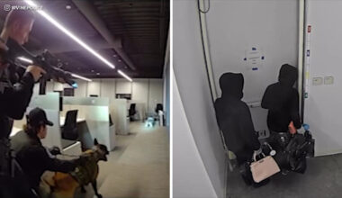 2 suspects caught in the act during Irvine luxury handbag burglary, police say