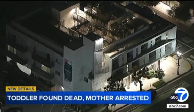 Toddler found in Santa Monica apartment dies from injuries involving frying pan; mother in custody