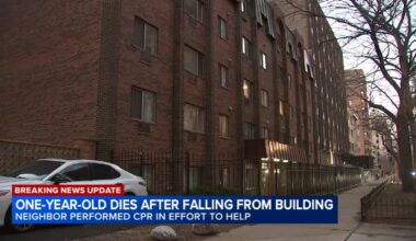 1-year-old boy dies after fall from Edgewater, Chicago building in 5800-block of North Sheridan Road: police department