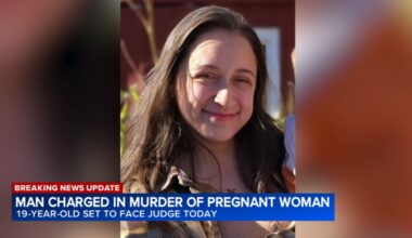 Downers Grove murder: Nedas Revuckas due in court on charges of killing pregnant woman Eliza Morales