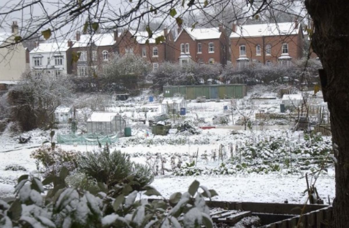 The forecasts from the Met Office, published on Sunday, January 25, show snow is set to hit on Monday, January 26.