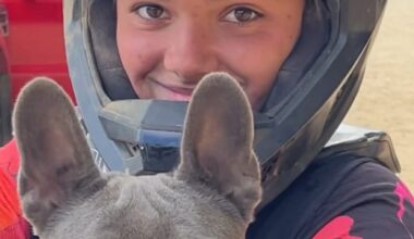 Autopsy says dingoes likely didn't kill Canadian, but there were 'pre-mortem' bites