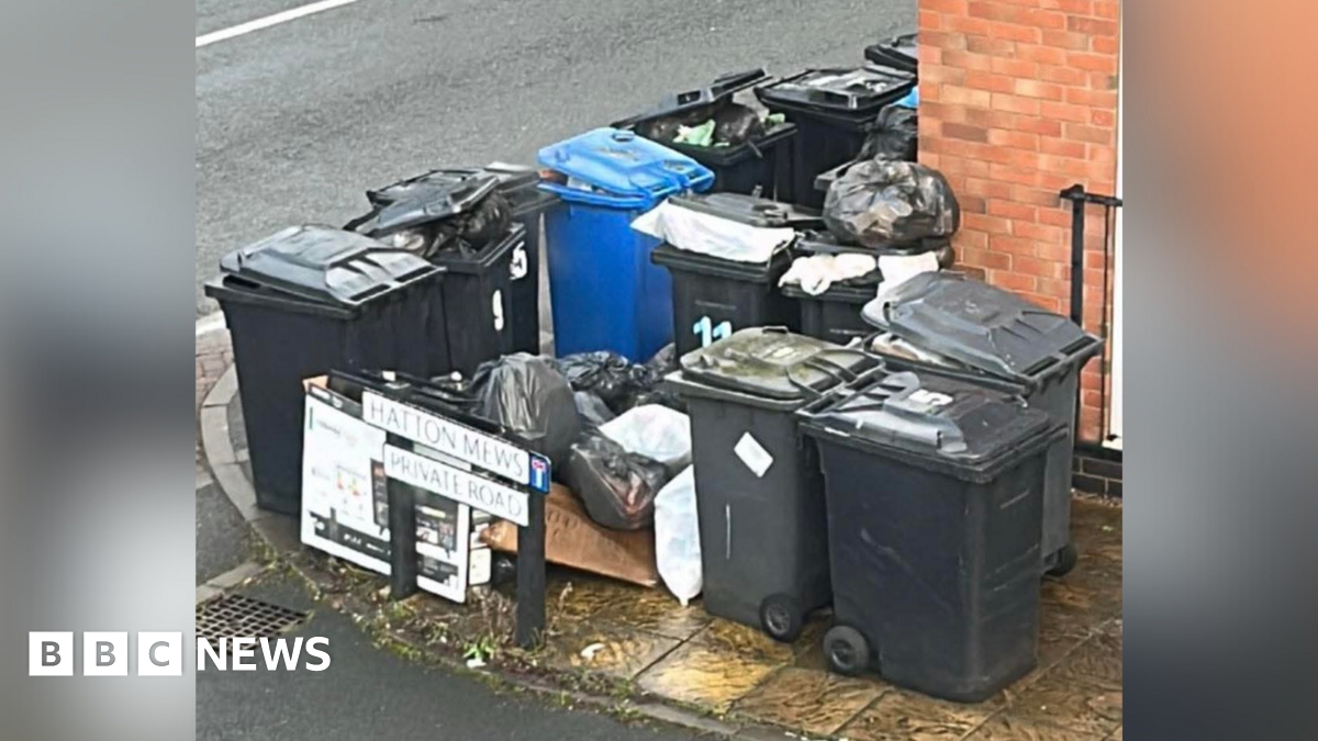 A cluster of bins next to a street sign. There are stray bin bags too.