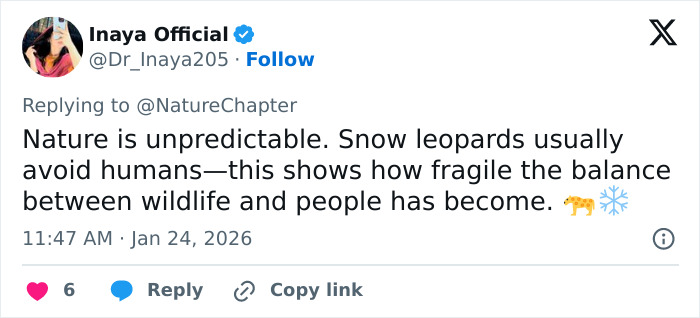 Tweet about nature’s unpredictability and fragile balance between wildlife and humans, mentioning snow leopards and a skier attack.