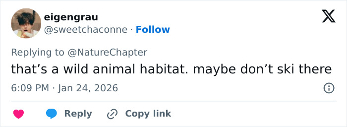 Tweet warning about wild animal habitat with a caution not to ski there, related to snow leopard attack video.