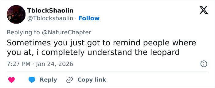 Tweet text on social media by user TblockShaolin commenting on a skier attacked by a snow leopard after attempting a selfie.