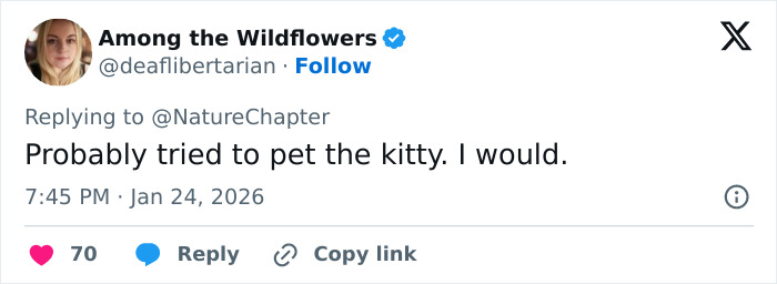 Tweet reply by Among the Wildflowers commenting on skier attacked by snow leopard in viral video, posted on social media platform.