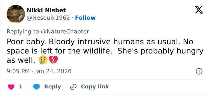 Tweet commenting on wildlife intrusion with a concerned emoji, discussing skier attacked by snow leopard viral video incident.