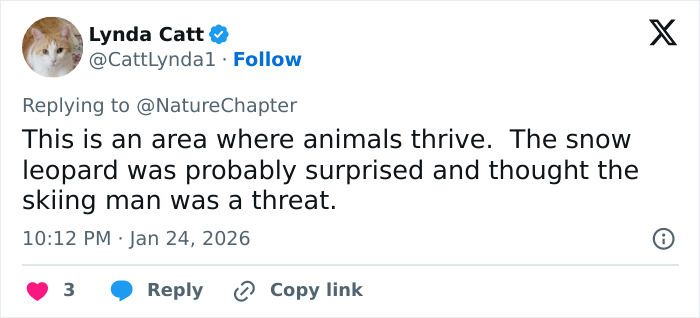 Tweet discussing a snow leopard attacking a skier who tried to take a selfie, highlighting animal behavior in the wild.