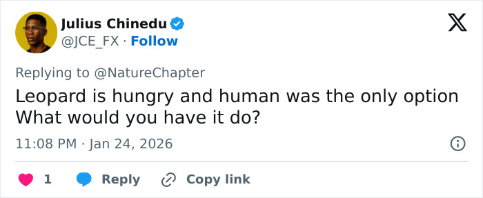 Screenshot of a tweet discussing a skier viciously attacked by a snow leopard after trying to take a selfie with it.