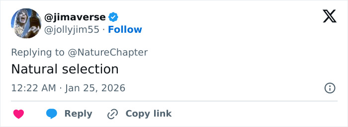 Tweet from user @jimaverse replying to @NatureChapter with the text Natural selection posted at 12:22 AM on Jan 25, 2026.