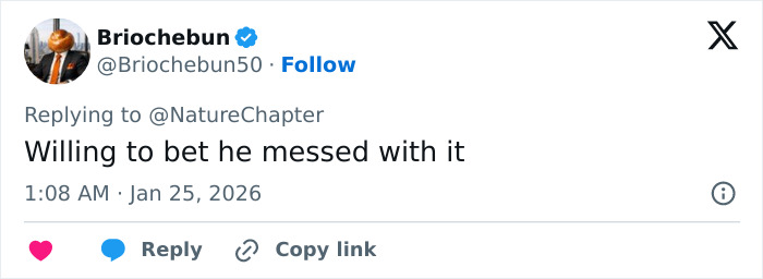 Tweet reply on social media about a viral video showing a skier attacked by a snow leopard while trying to take a selfie.