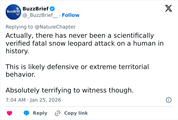 Tweet discussing snow leopard attack on skier, mentioning defensive behavior and lack of fatal verified attacks in history.