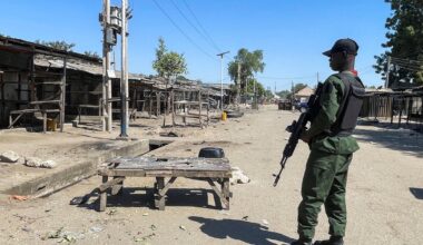 At least 30 killed after gunmen raid village in northern Nigeria