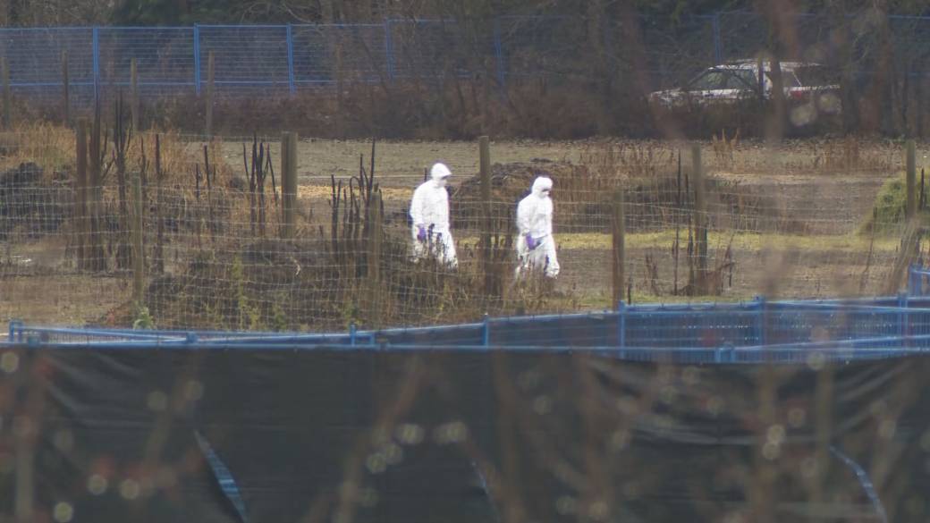 Click to play video: 'Ostrich cull completed at Edgewood farm'