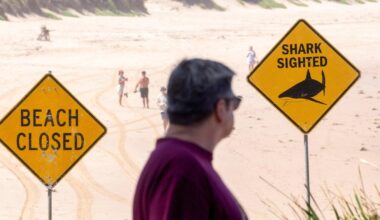 Australian boy dies days after being bitten by shark in Sydney Harbor