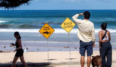 After 4 shark attacks in Australia in 3 days, beachgoers urged to "just go to a local pool"