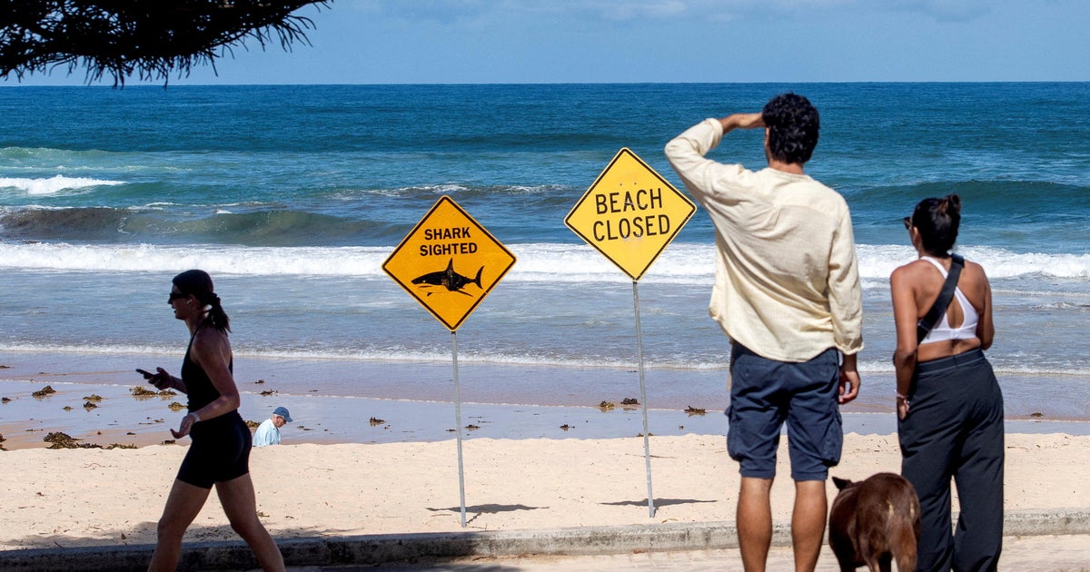 After 4 shark attacks in Australia in 3 days, beachgoers urged to "just go to a local pool"