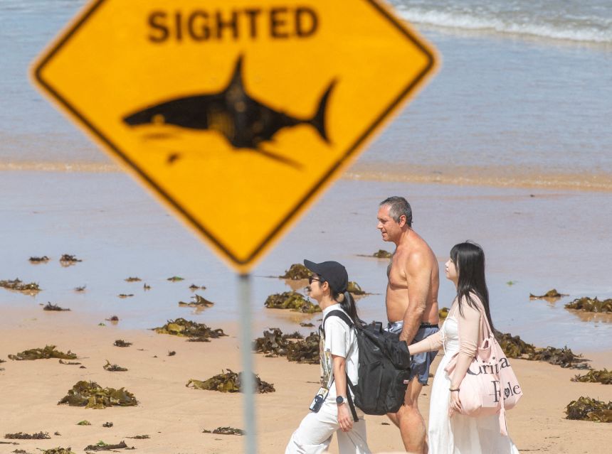 Beachgoers at Queenscliff Beach walk past a shark‑sighting sign in Sydney, Australia, on January 20, 2026.