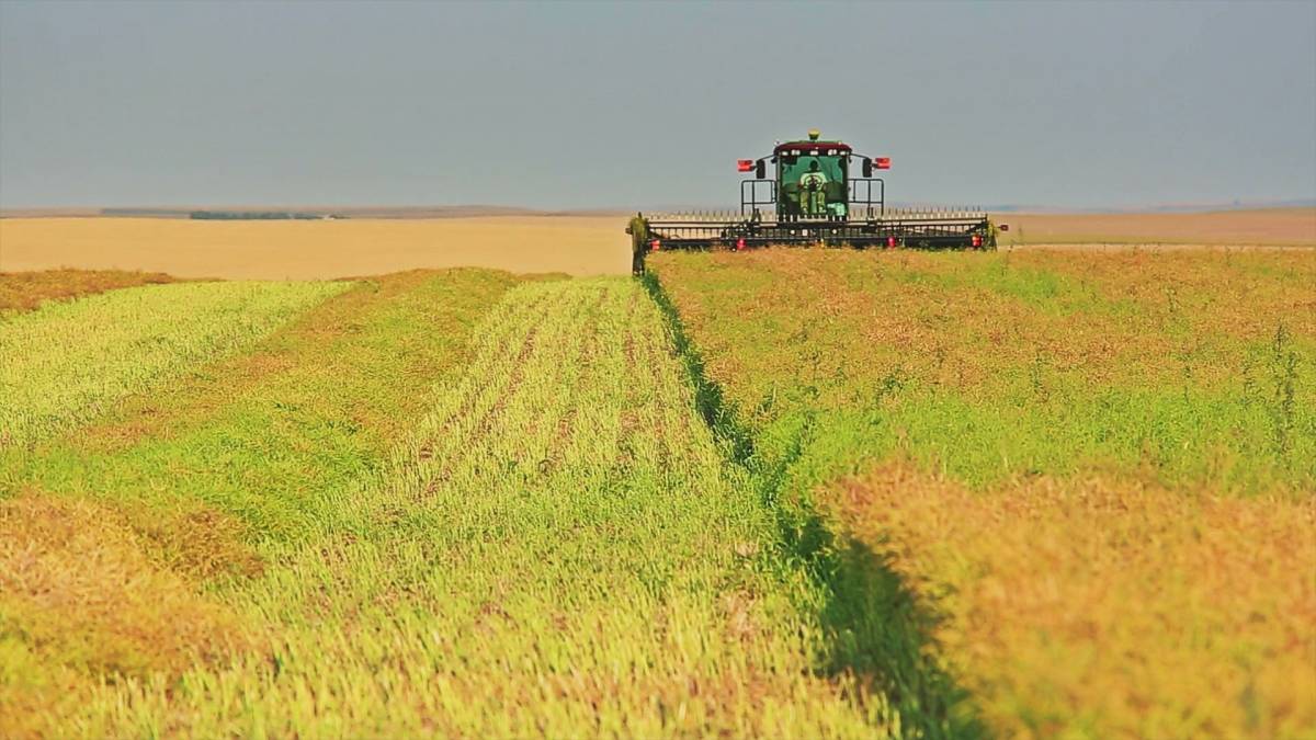 Click to play video: 'Business News: Department store bankruptcy & Canada-China tariff deal'