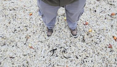 Thousands of bags of chips wash up by Beachy Head