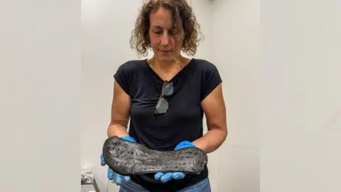 The Vindolanda Trust Dr Elizabeth Greene wearing a black T-shirt and blue gloves with sunglasses hanging from her top. In her hands are the sole of a large black shoe. 