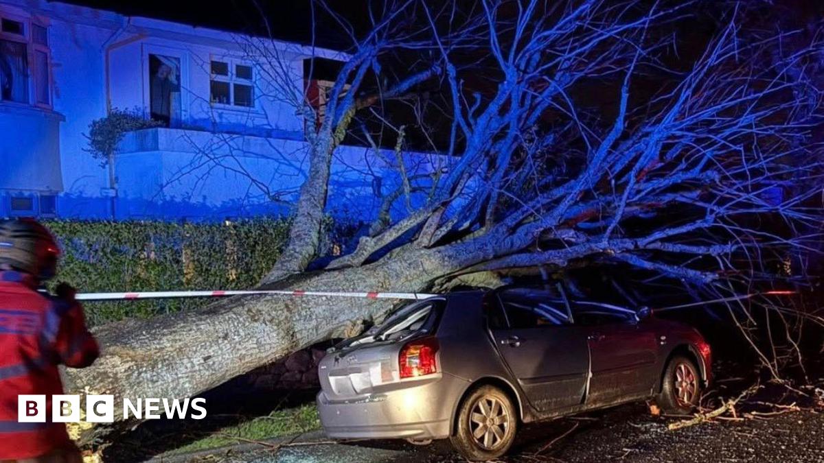 A car has been crushed by a fallen tree. It is night time and there is a fire fighter standing nearby. A house is behind the tree. There is incident tape wrapped around the car and tree.