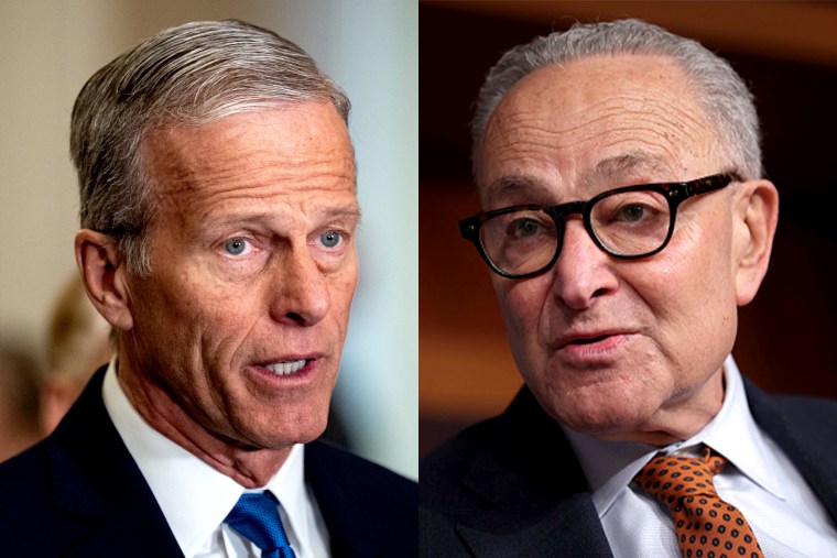 John Thune and Chuck Schumer