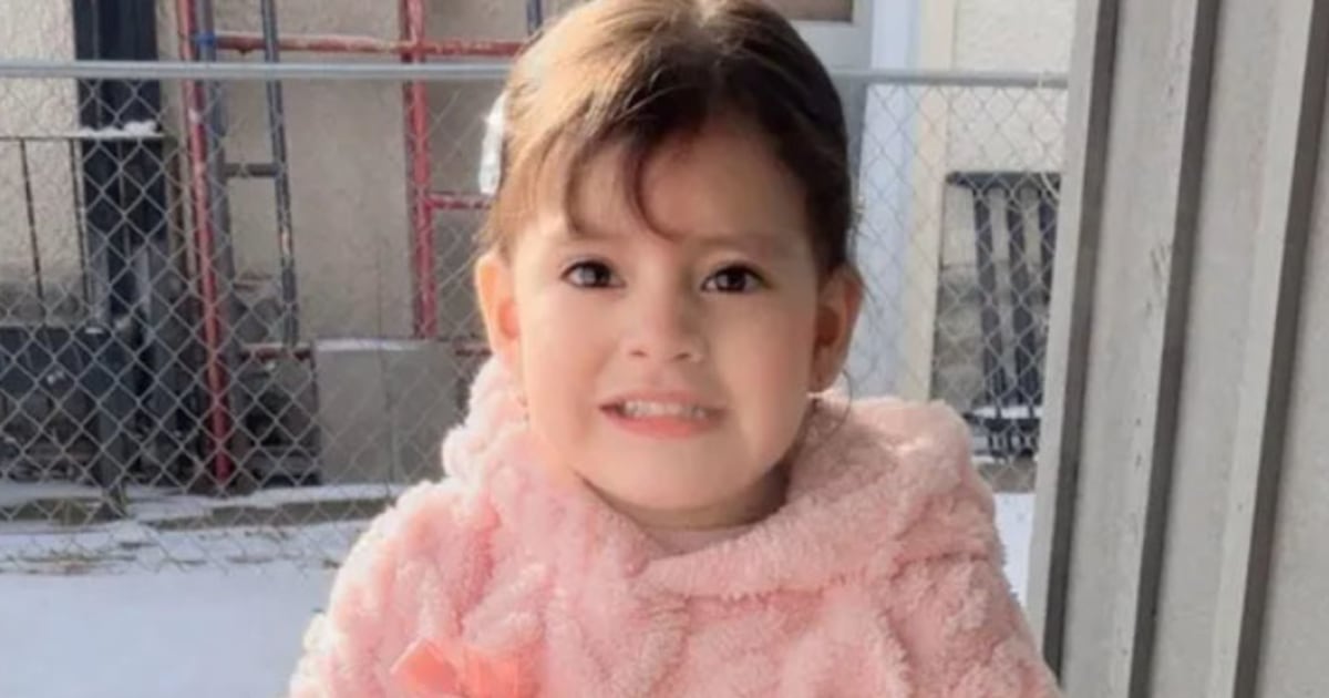 2-year-old girl and father taken by ICE in Minneapolis, local lawmaker says