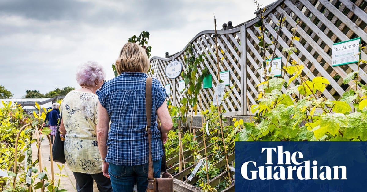 Public urged to grow unusual plants to safeguard diversity of UK blooms | Plants