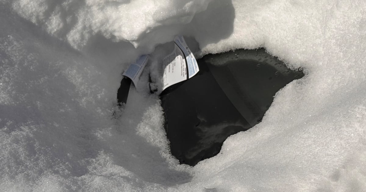 $1.6 million in fines issued during Ottawa’s winter parking bans - CTV News